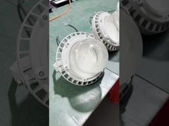 Endüstriyel Higbay Işık Atölyeleri Benzin İstasyonu Fabrikası 50w 100w 150w Led Patlama Dayanıklı Işık Dayanıklı