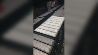 Dayanıklı Dış Mekan Stadyum Aydınlatmasını Görüntüleyin: RFFL-11 IP65 LED Modül Projektör Işıkları Demosu