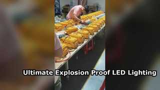 Tehlikeli Alanlar için ATEX Onaylı IP65 Su Geçirmez Temperli Camlı LED Projektör