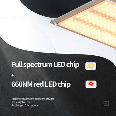 200w LED T5 Büyüme Işıkları Sera Işıklandırma Sistemi