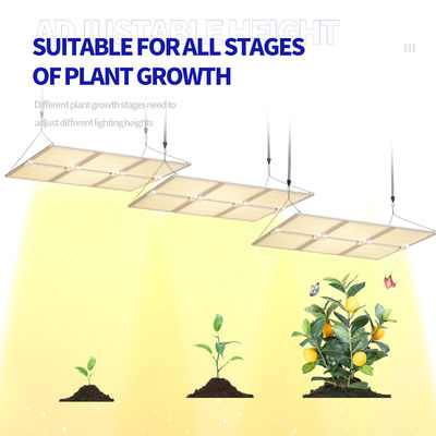 600W Tam Spektrumlu LED Bitki Yetiştirme Işığı, Optimum Bitki Gelişimi için Kısılabilir Fonksiyon
