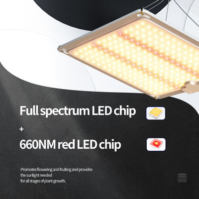LED Panel 3x3 Büyüme Işığı Bitki Lamba Işığı 600w