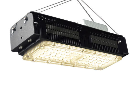 AC85V-265V Ev bitkileri için kapalı LED büyüme lambaları 50W