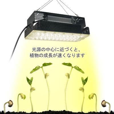 100w İç Mekan 5x5 Bitki Yetiştirme Işığı İç Mekan Bahçe Sukulent Bitkiler SMD3030