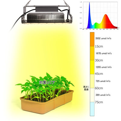 100W Full Spectrum LED Grow Light with SMD3030 LEDs for Indoor Plants and Gardens 100W Full Spectrum LED Grow Light with SMD3030 LEDs for Indoor Plants and Gardens İçerideki bitkiler ve bahçeler için SMD3030 LED'lerle
