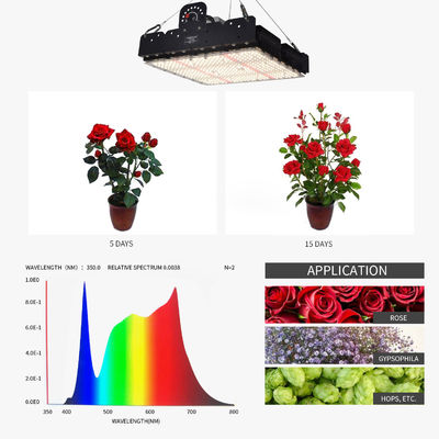 Kapalı bitkiler için tam spektrumlu T5 LED büyüme ışığı 250w