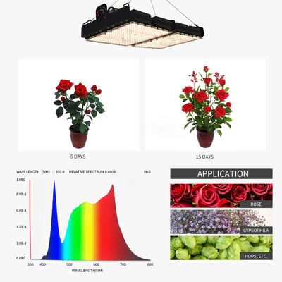 PPFD Okuyucu Led Büyüme Işıkları İçerideki Bitkiler İçin NR Spektrum