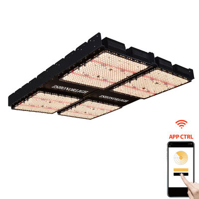 1000W Kapalı Ev Bitki Işıkları 4x4 Büyüme Işığı