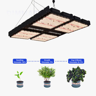 1000W Tam Spektrum Dimmable LED Grow Light for Indoor Plants with Timer Control (Saatlandırıcı kontrolü ile kapalı bitkiler için 1000W Tam Spektrum Dimmable LED Grow Light)