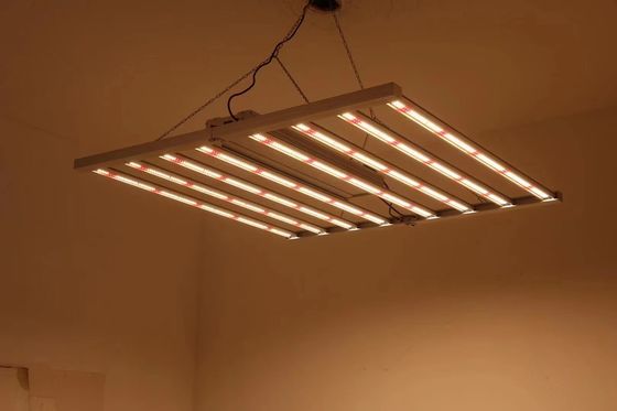 Katlanabilir 8T sera büyüme lambaları 800W 1000w Hps