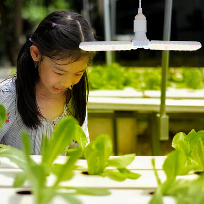 Kompakt LED Büyüme Işığı, Tam Spektrumlu + 660nm ve IP68 Su geçirmez