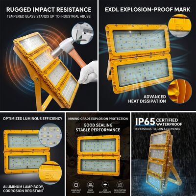 IP65 Hava Koşullarına Dayanıklı 600W LED Patlamaya Dayanıklı Projektör -40C/60C LUMILEDS LM-80 ATEX IIb T6 WF2 Tehlikeli Alan Armatürü