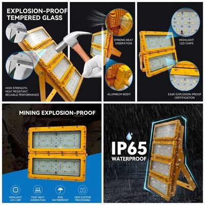 Çoklu Montajlı 600W LED Patlama Dayanıklı Sel Işığı 6 Yönlü Bracket LUMILEDS LM-80 ATEX IIb T6 IP65 Tavan Boom Duvar Montajı