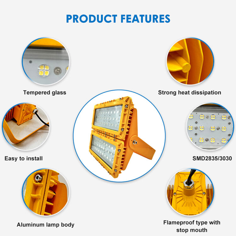 600W LED Patlama Güvenli Sel Işığı 60° Offshore FPSO Platformu ATEX IIB T6 IP65 RFEPL8280 Işıklandırma