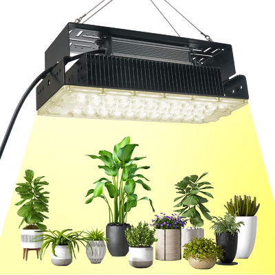 100w İç Mekan 5x5 Bitki Yetiştirme Işığı İç Mekan Bahçe Sukulent Bitkiler SMD3030