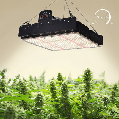 Kapalı bitkiler için tam spektrumlu T5 LED büyüme ışığı 250w
